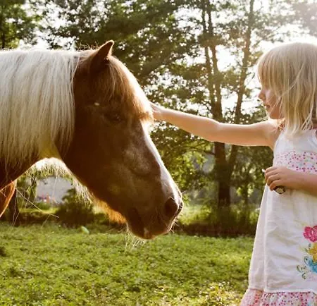 Camping La Forge De Sainte Marie منتجع Thonnance-les-Moulins