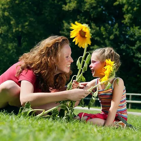 Camping La Forge De Sainte Marie منتجع Thonnance-les-Moulins