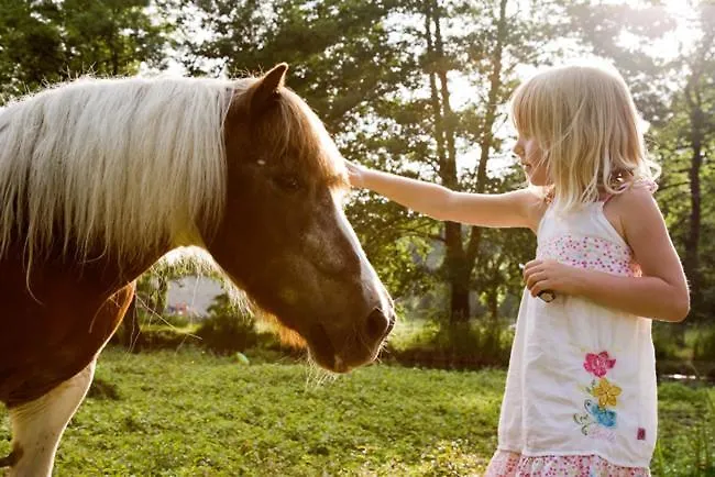 Camping La Forge De Sainte Marie Resort Thonnance-les-Moulins