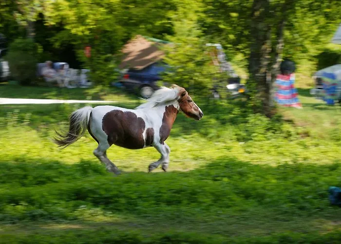 Camping La Forge De Sainte Marie *