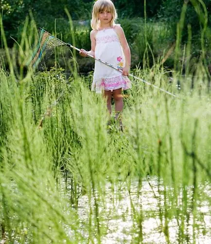 Camping La Forge De Sainte Marie Resort *